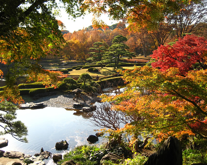 皇居の写真5